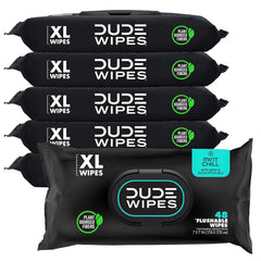 DUDE Wipes Mint Chill Adult Flushable Wet Wipes, Refreshing, 288 Count