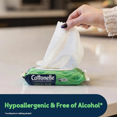 Cottonelle GentlePlus Flushable Wipes, 8 Packs, 42 Wipes per Pack