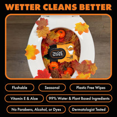 DUDE Wipes Dumpkin Spice Adult Flushable Wipes, Pumpkin Scented, 144 Count