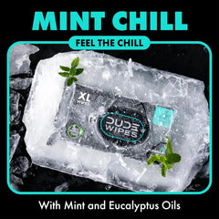 DUDE Wipes Mint Chill Adult Flushable Wet Wipes, Refreshing, 144 Count