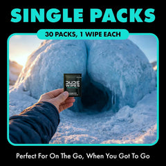 DUDE Wipes On-The-Go Mint Chill Adult Flushable Travel Wipes, 60 Count