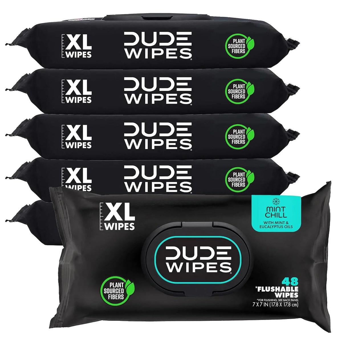 DUDE Wipes Mint Chill Adult Flushable Wet Wipes, Refreshing, 288 Count