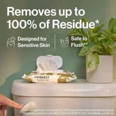 The Honest Company Flushable Wipes for Sensitive Skin, Hypoallergenic, Fragrance-Free, Gilded Wings Design, 126 Count (Pack of 3)