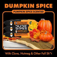 DUDE Wipes Dumpkin Spice Adult Flushable Wipes, Pumpkin Scented, 144 Count