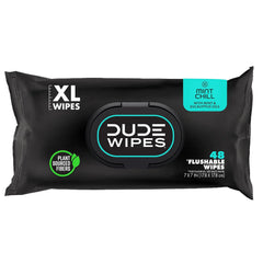 DUDE Wipes Mint Chill Adult Flushable Wet Wipes, Refreshing, 48 Count