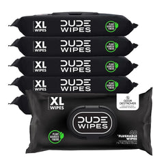 DUDE Wipes Odor Destroyer Adult Flushable Wet Wipes, Deodorizing, 288 Count
