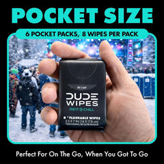 DUDE Wipes Mint Chill Pocket Packs, Adult Flushable Travel Wipes, 48 Count