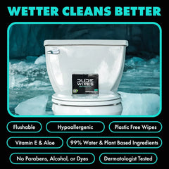 DUDE Wipes On-The-Go Mint Chill Adult Flushable Travel Wipes, 60 Count