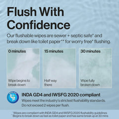 The Honest Company Flushable Wipes, Hypoallergenic, Gilded Wings, 42 Count