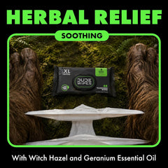 DUDE Wipes Herbal Relief Adult Flushable Wet Wipes, Witch Hazel, 576 Count