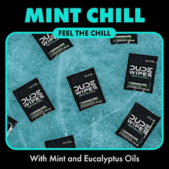 DUDE Wipes On-The-Go Mint Chill Adult Flushable Travel Wipes, 60 Count