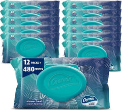 Charmin Flushable Wipes, 480 Total Wipes (12 Packs of 40)