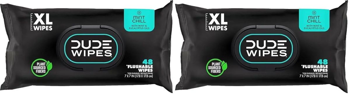 DUDE Wipes, 48 Wipes, 2 Pack | Flushable | Mint Chill | Extra-Large | Eucalyptus & Tea Tree Oil