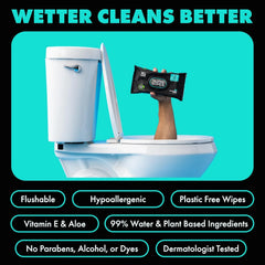 DUDE Wipes Mint Chill Adult Flushable Wet Wipes, Refreshing, 144 Count