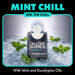 DUDE Wipes Mint Chill Pocket Packs, Adult Flushable Travel Wipes, 48 Count
