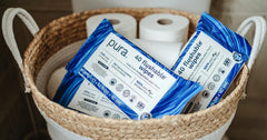 Pura Flushable Adult Wipes XL 80 Count with Aloe Vera Sensitive Skin